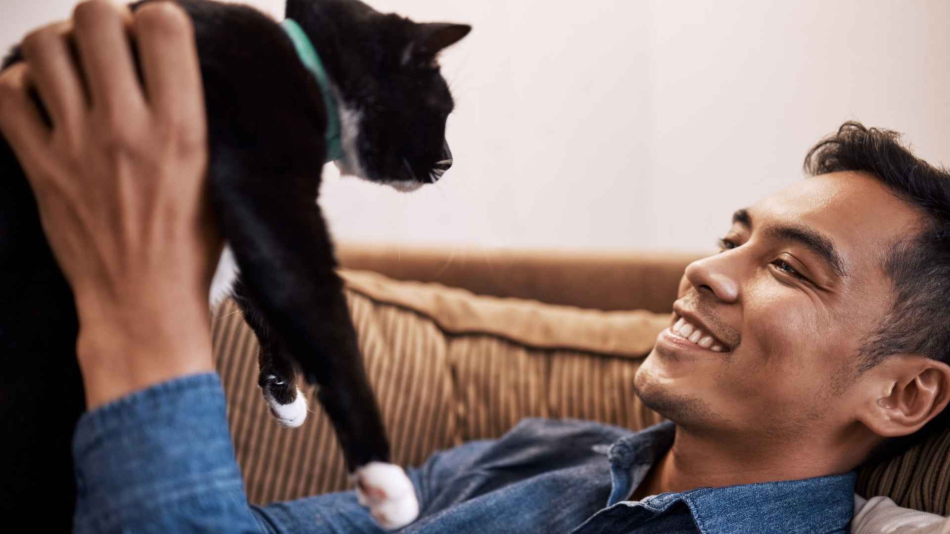 Tutor cuidando a su gato